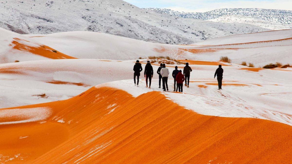 sahara, snow, Africa, desert