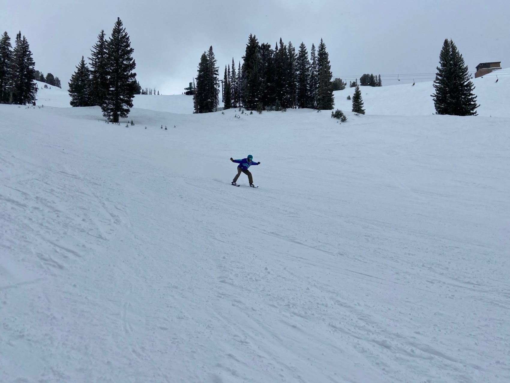 Alta Report