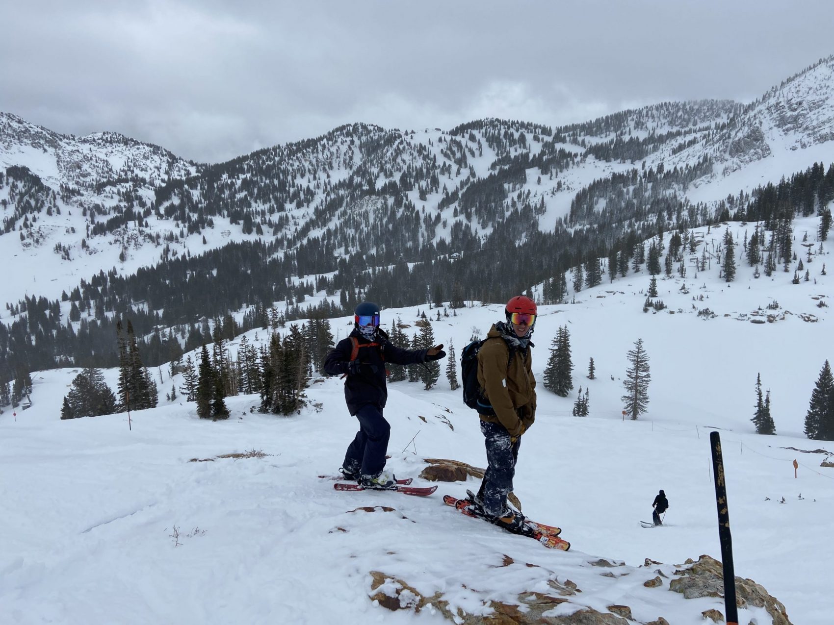 Alta Report