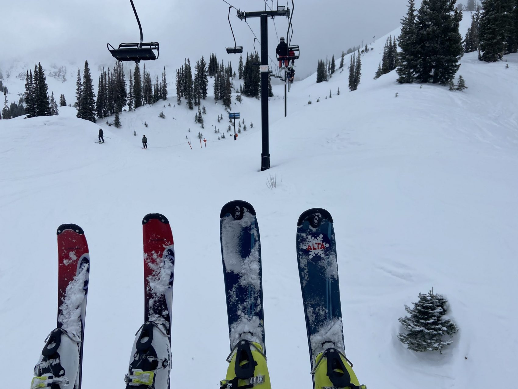 Alta Report