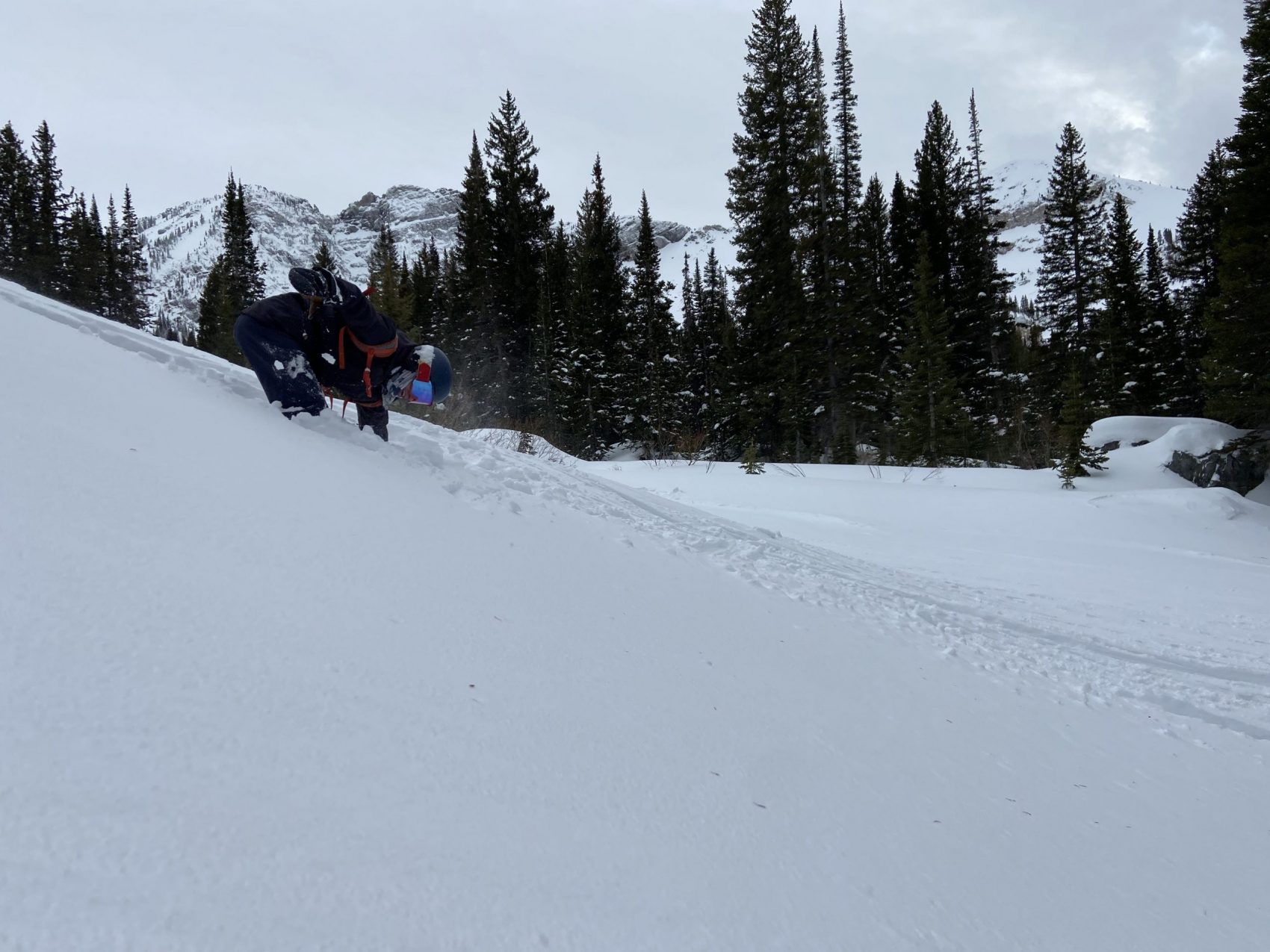 Alta Report