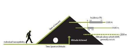 Show effects rate of ascent/descent has on climber's bodies. 