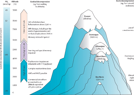 Show the effects the increase in altitude has on the human body. 