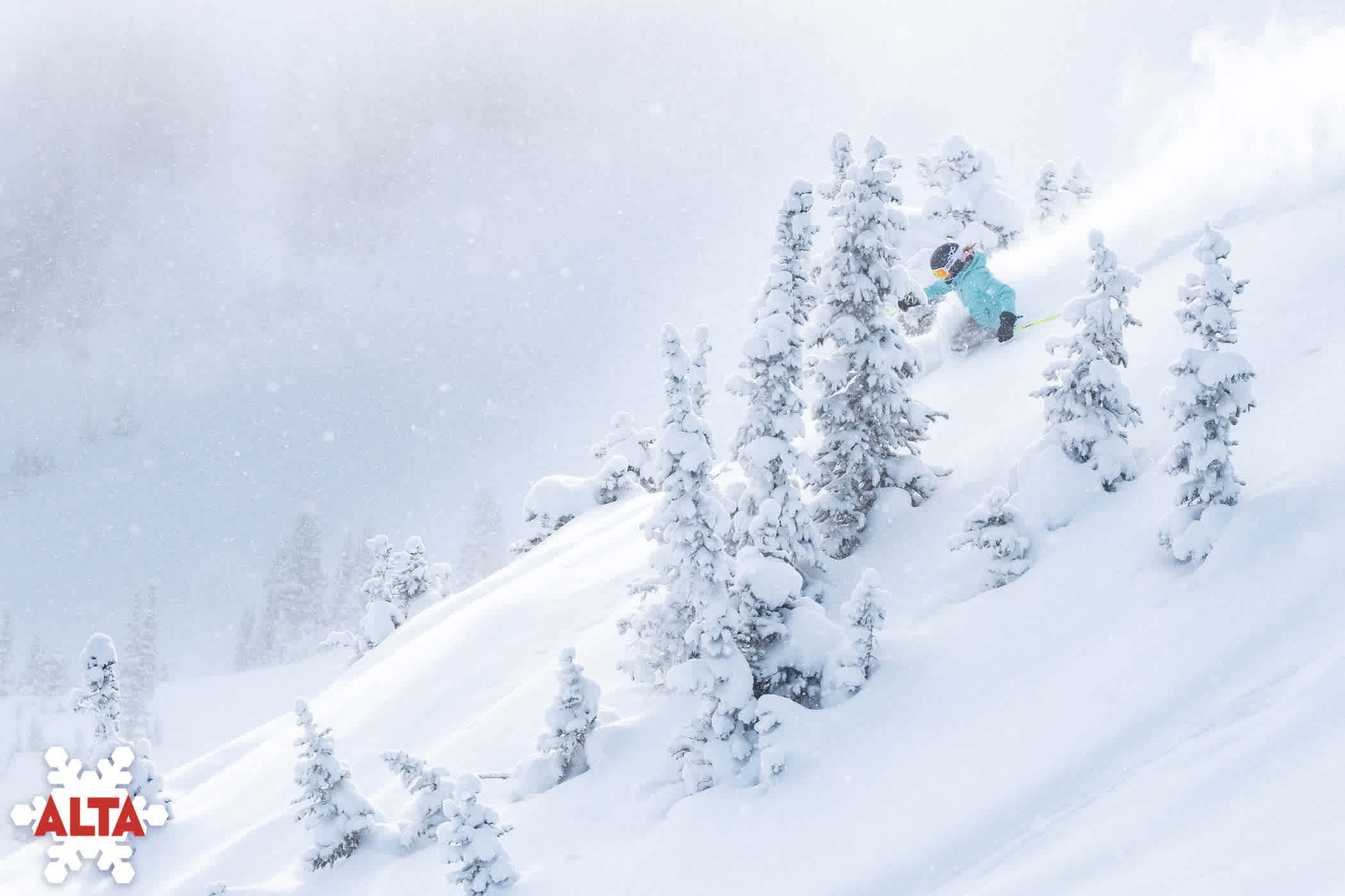 How To Earn Your Turns Like A Local At Alta Ski Area, UT SnowBrains