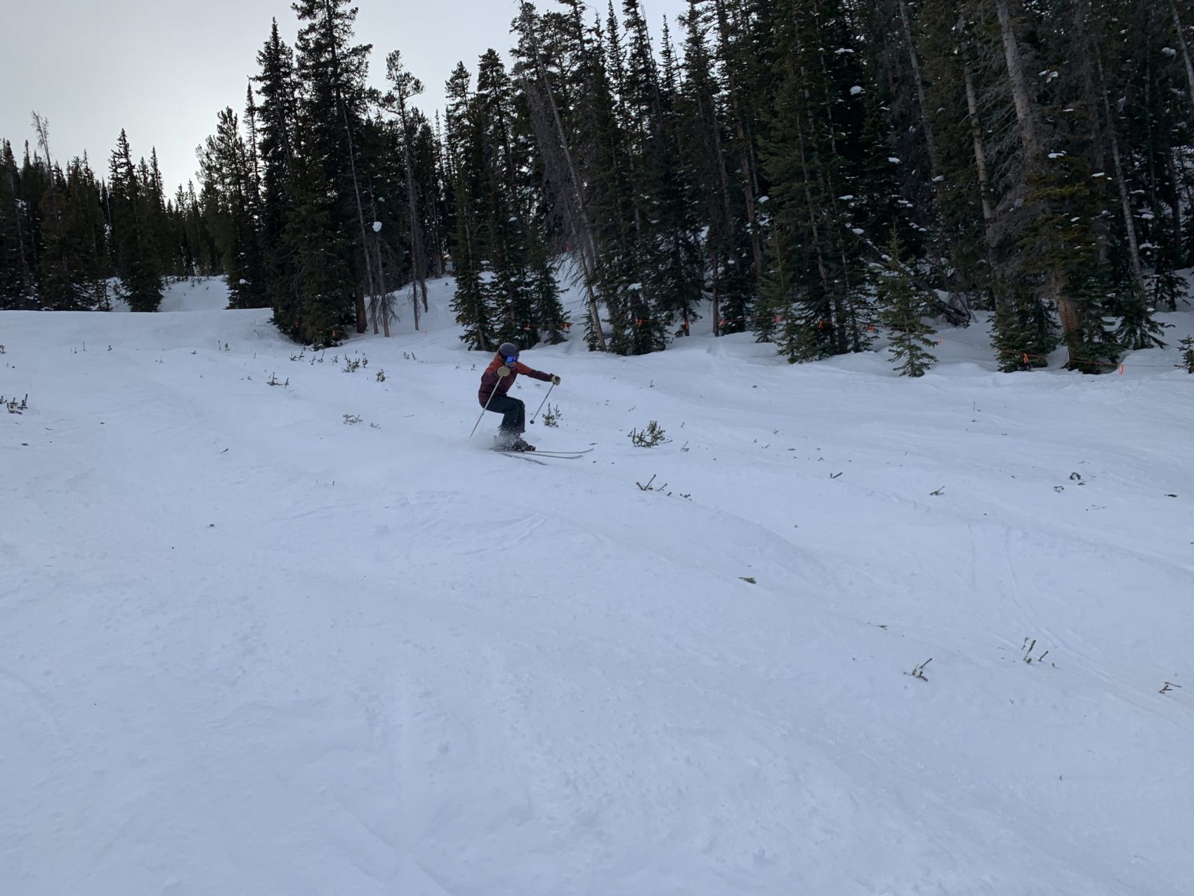 Crested Butte, CO Report: Fast Snow, Bumps, and Side Hits - SnowBrains