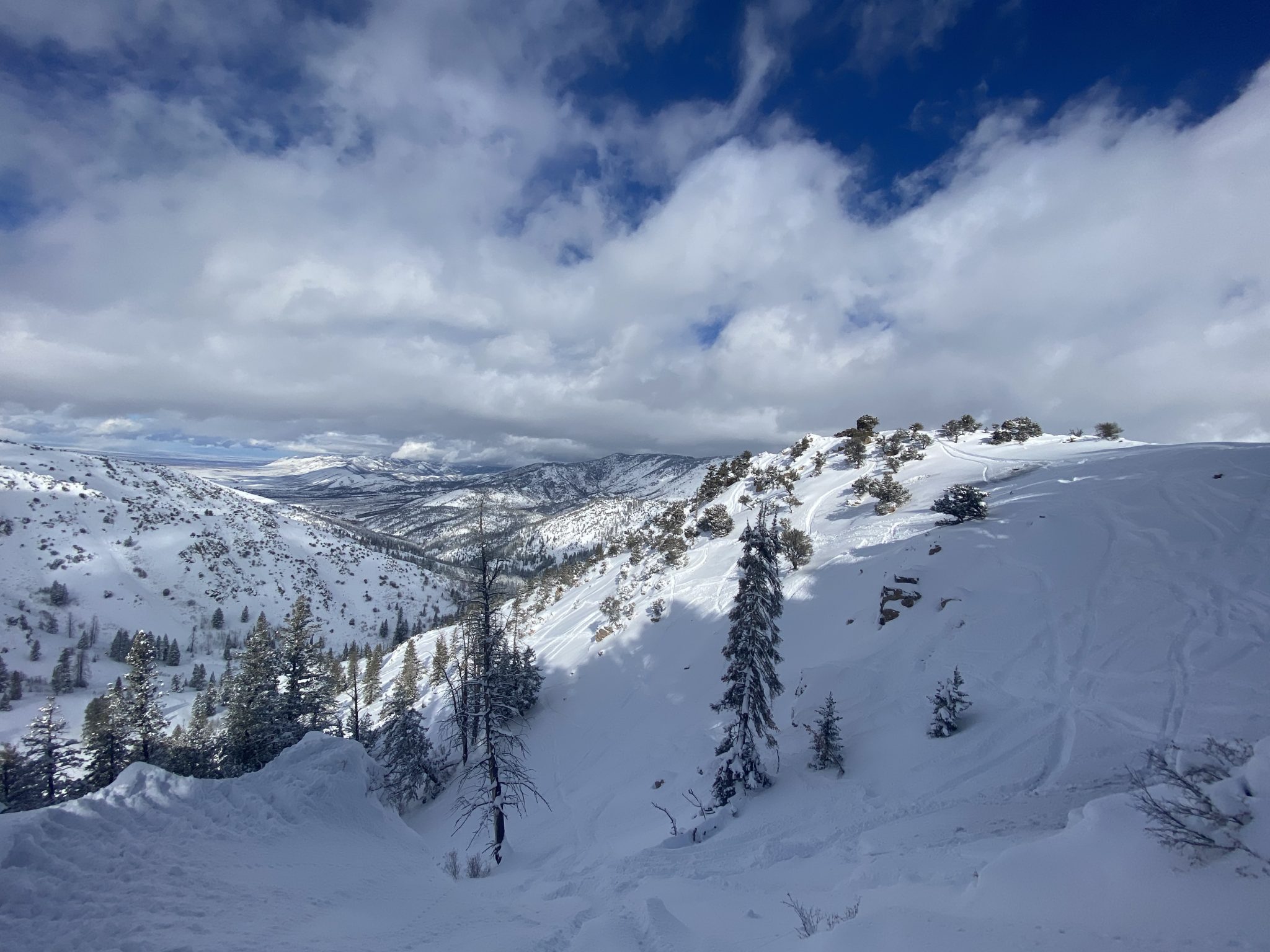 Powder Mountain, UT Report Paradise Opens, Powder Madness Ensues