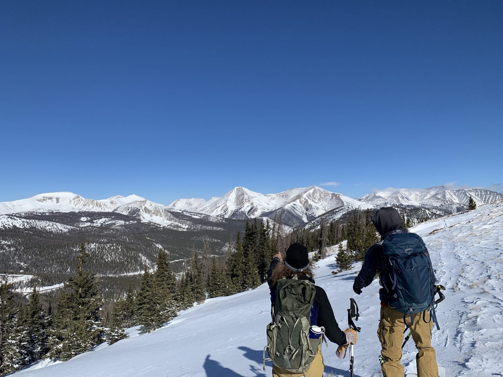 Monarch Pass, CO Report: Perfect Trees, Sun, and Stoke - SnowBrains