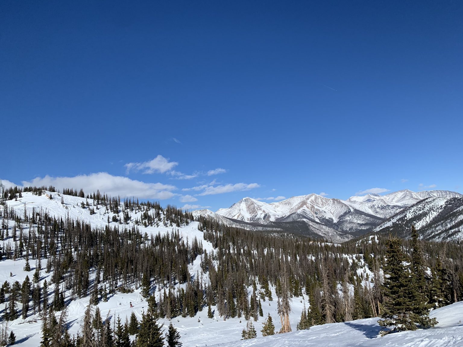 Monarch Pass, CO Report: Perfect Trees, Sun, and Stoke - SnowBrains