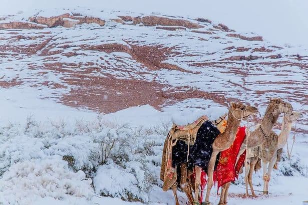 sahara, snow, Africa, desert