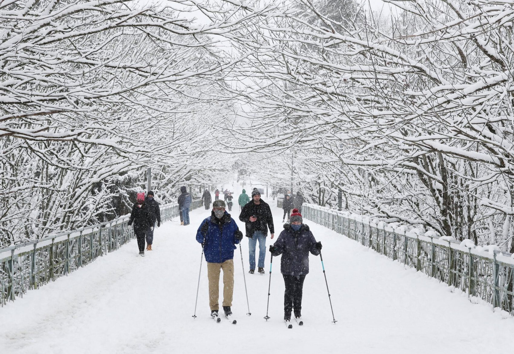 Seattle, WA Most Snowfall in a Single Day in 52 Years SnowBrains