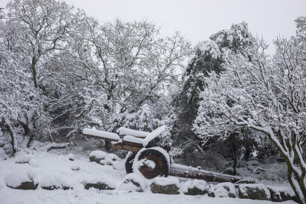 Middle East First Snow 