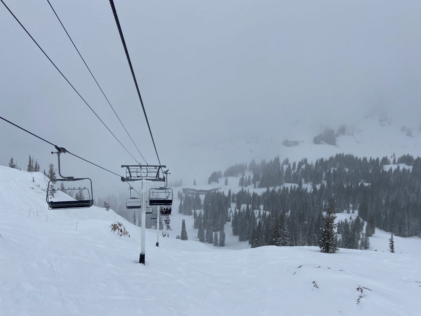 Alta Report