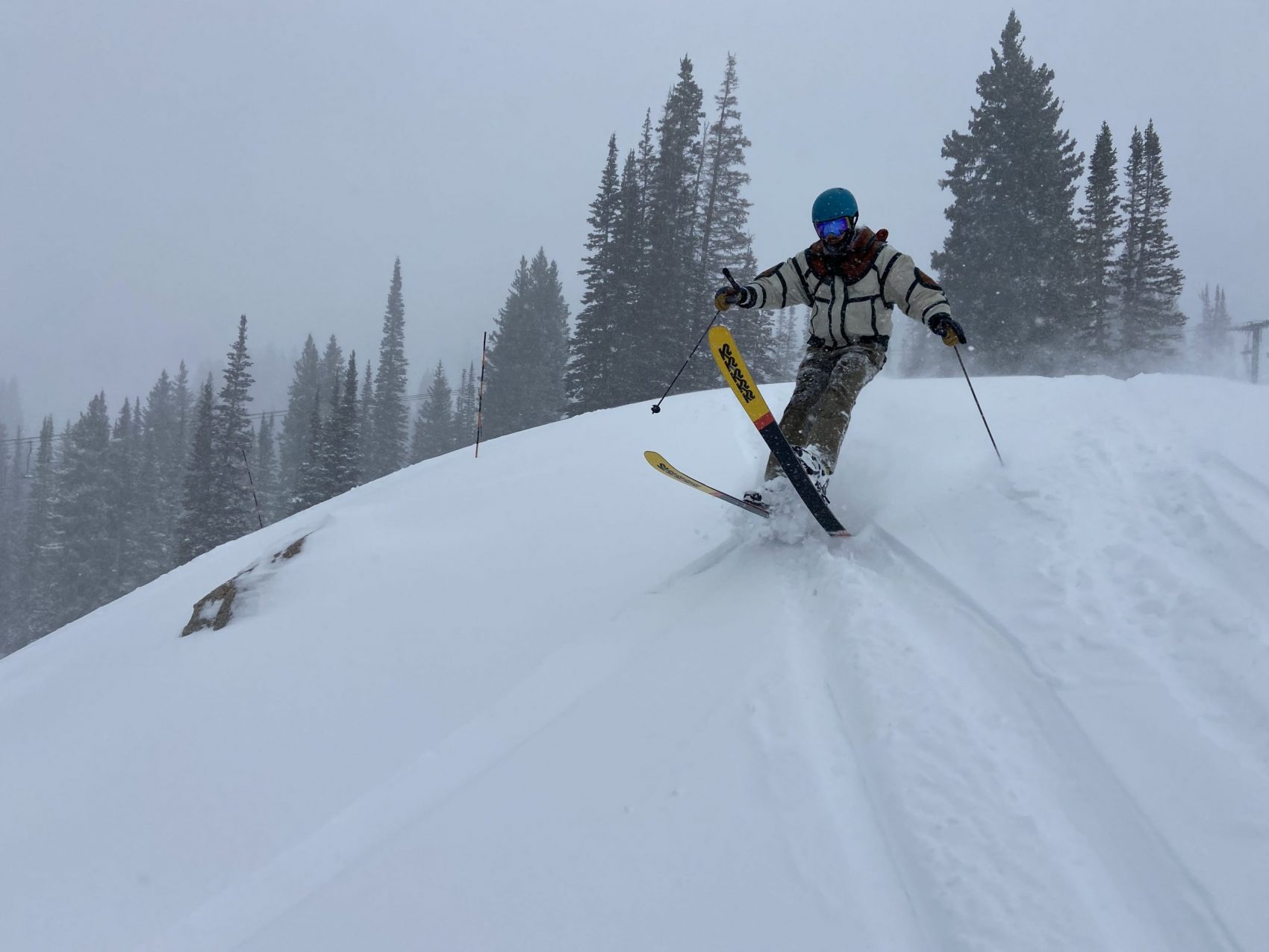 Alta Report