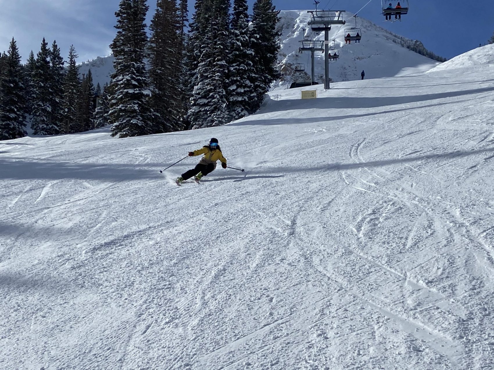 Alta Report