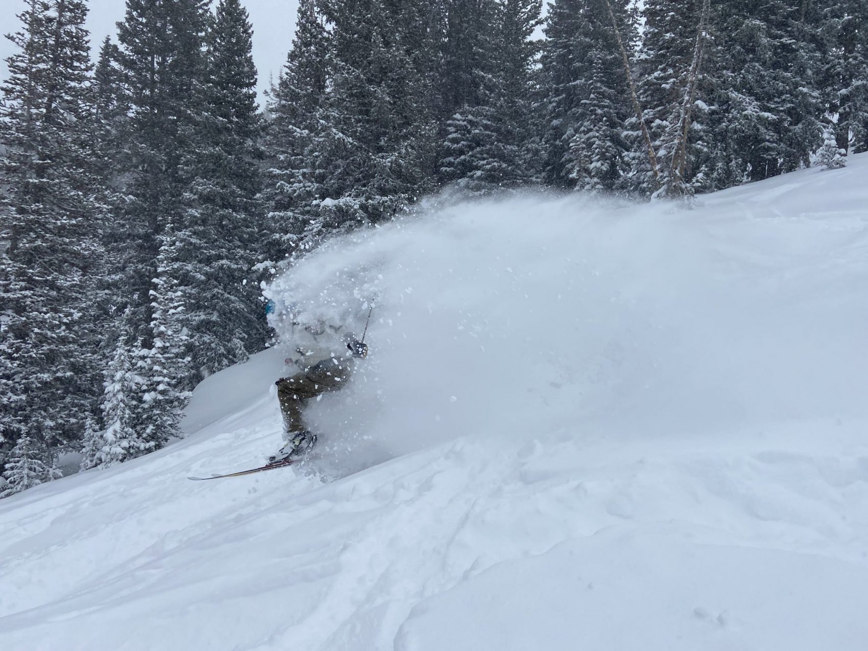 Alta Report