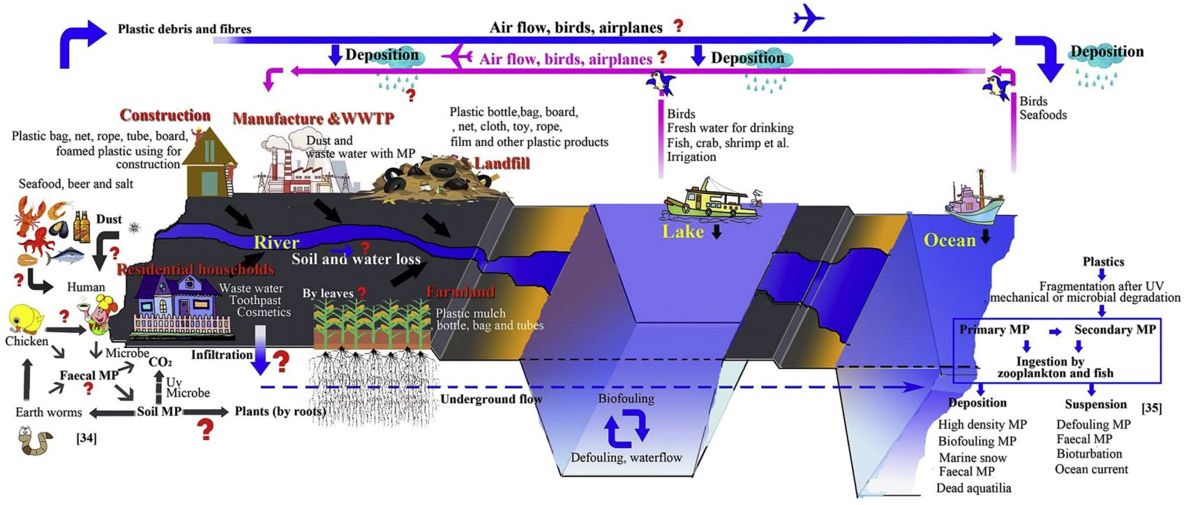 microplastic pollution