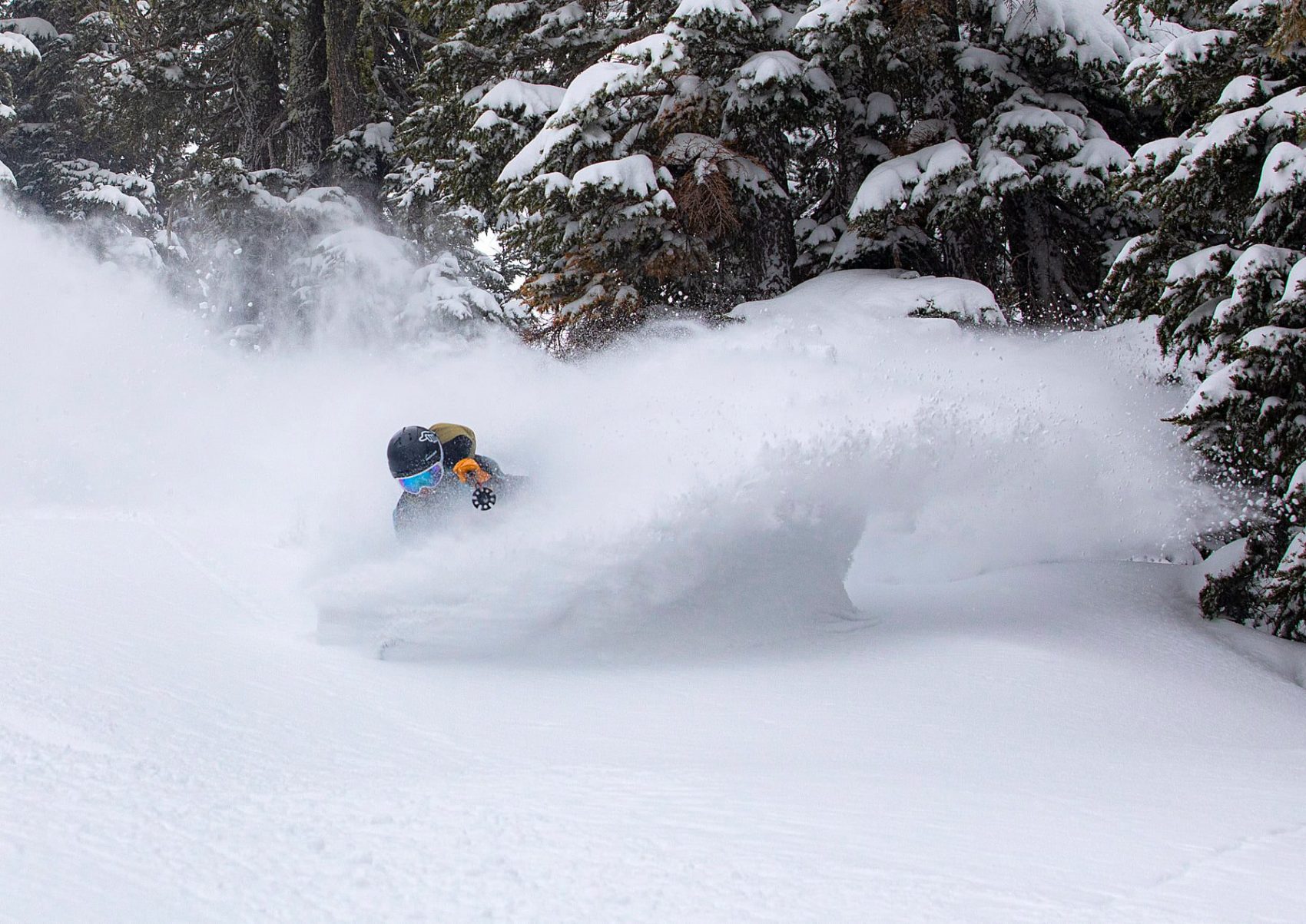 alpine meadows, california