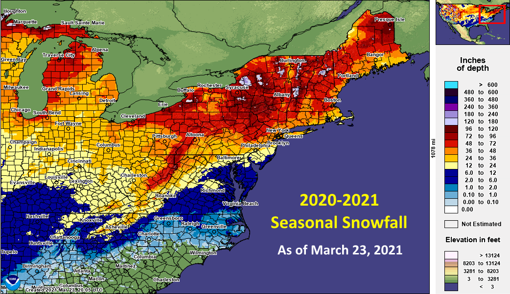 Long Island Snowfall 2024 Cristy Carolina