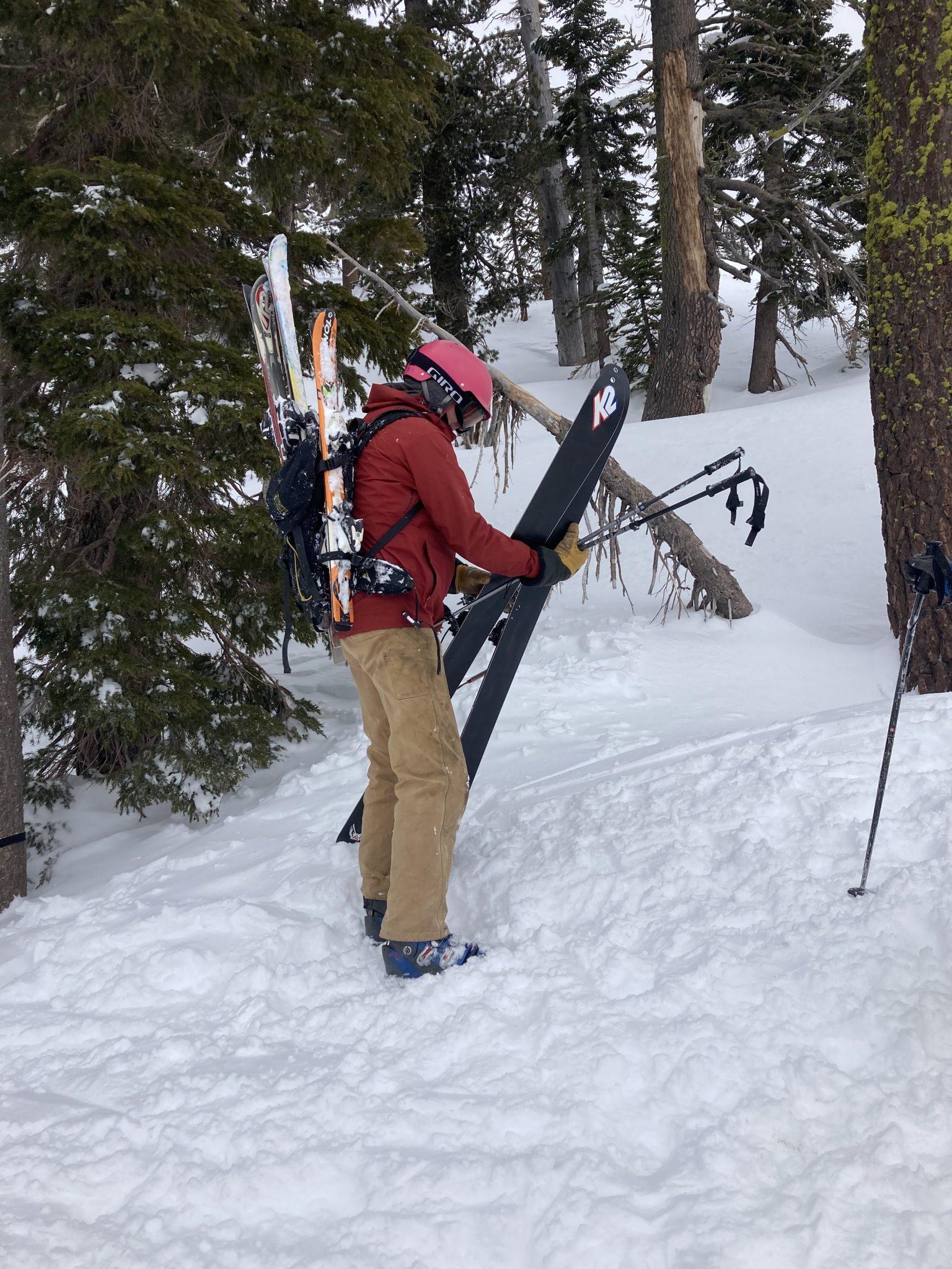 Sugar Bowl, CA Report Still Winter on Donner Summit LaptrinhX / News