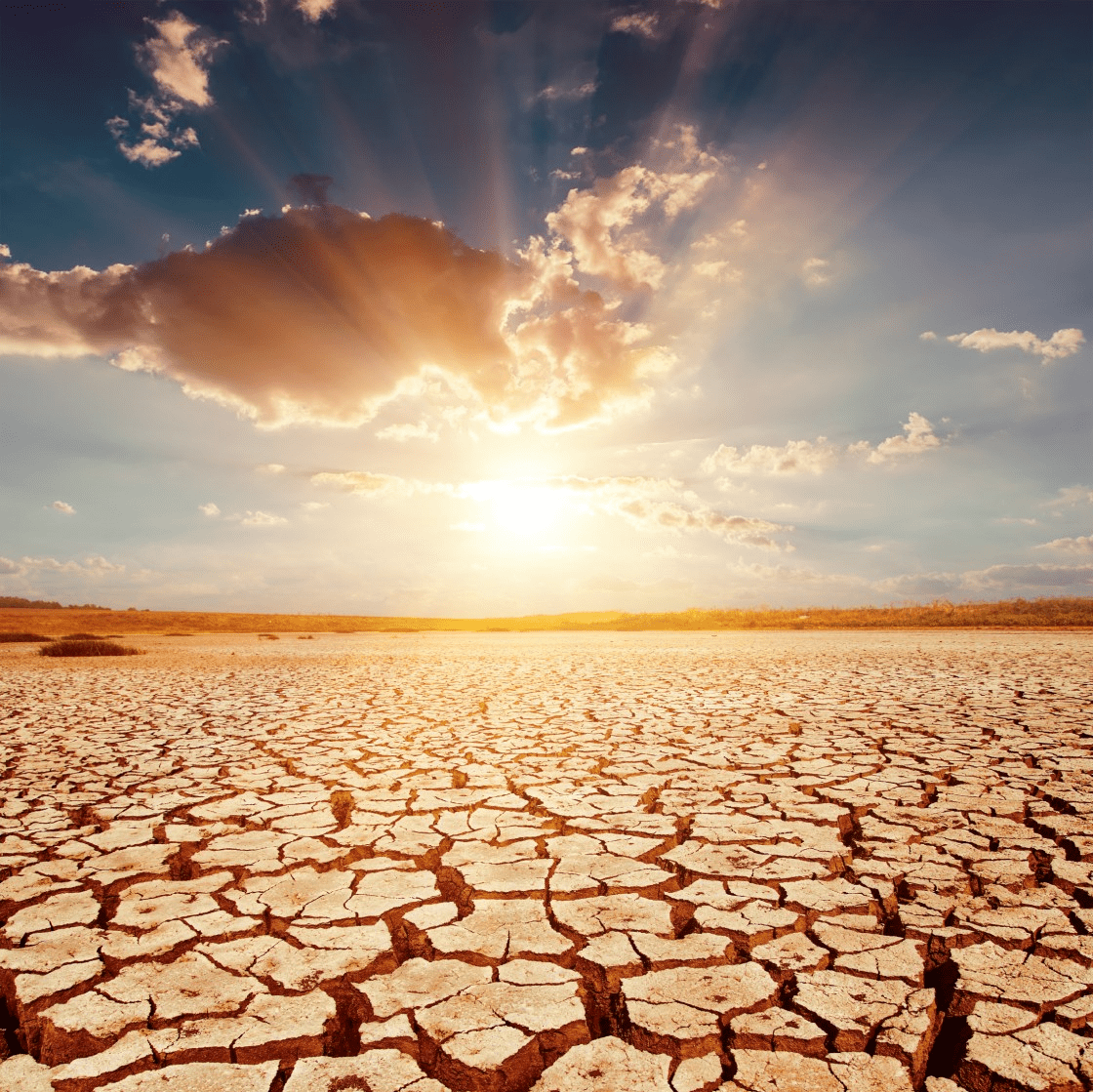 drought, climate change,