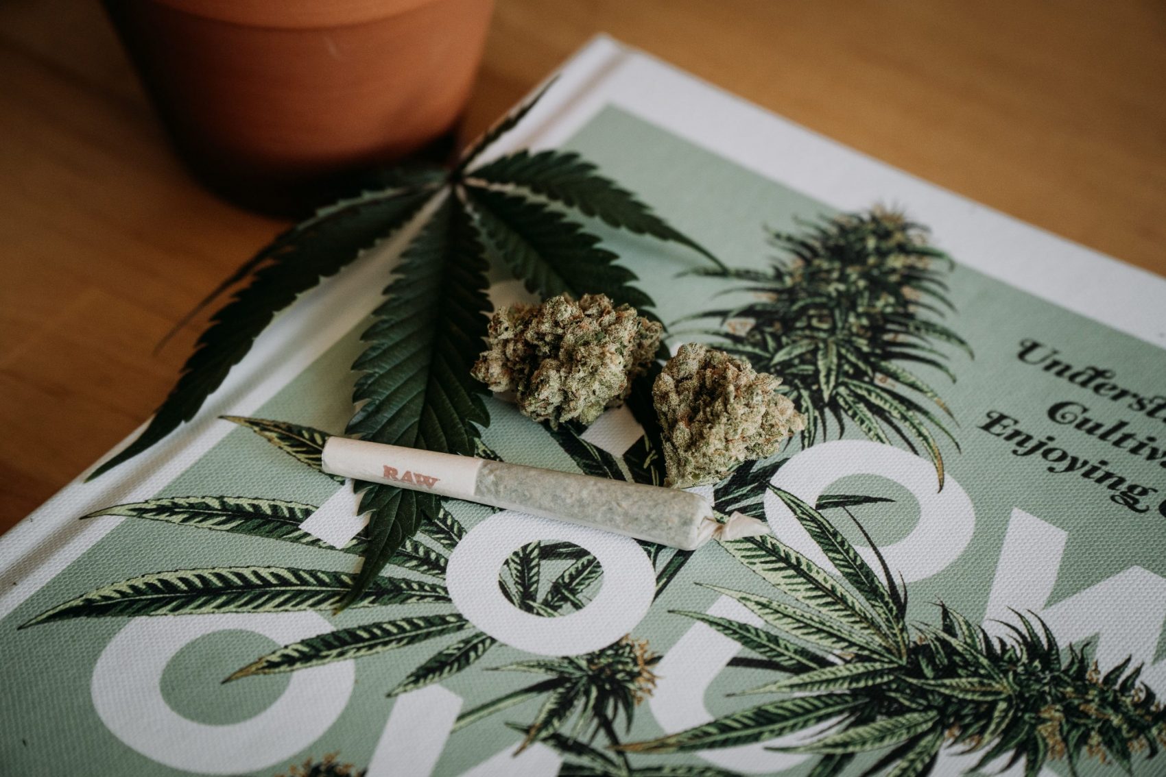 Wyoming cannabis legalization