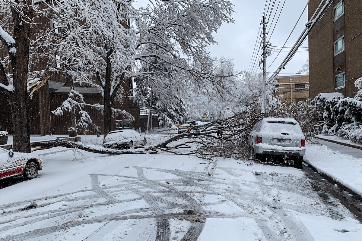 Denver, snow,