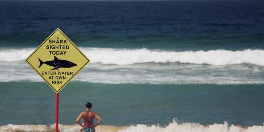 Look out for sharks