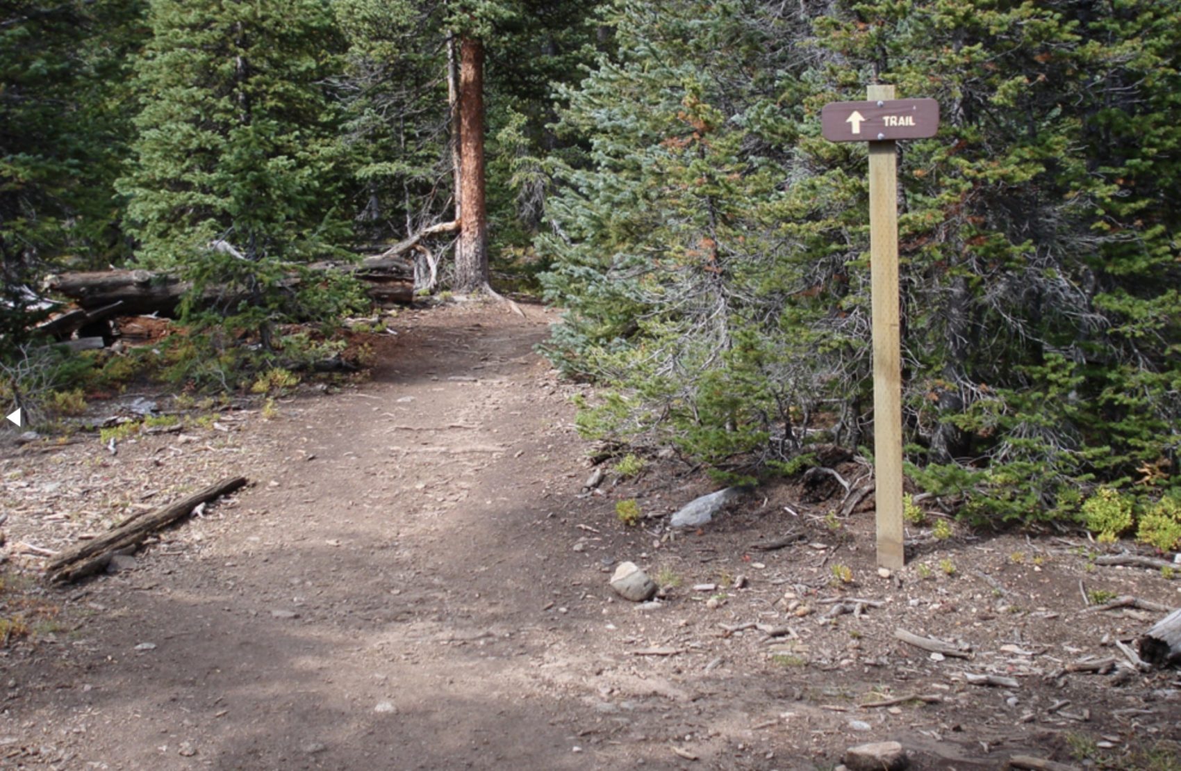 quandary peak popular 14er trail beginning