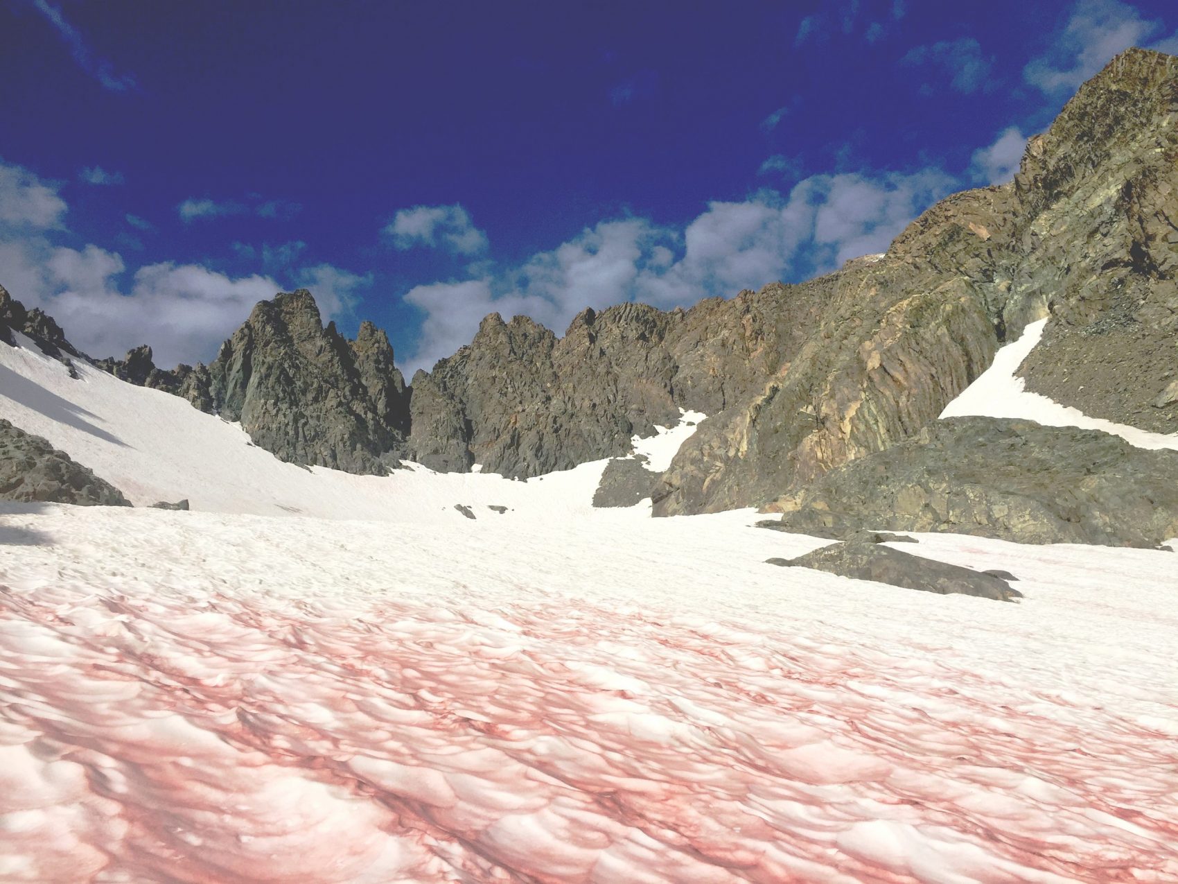 Pink Snow