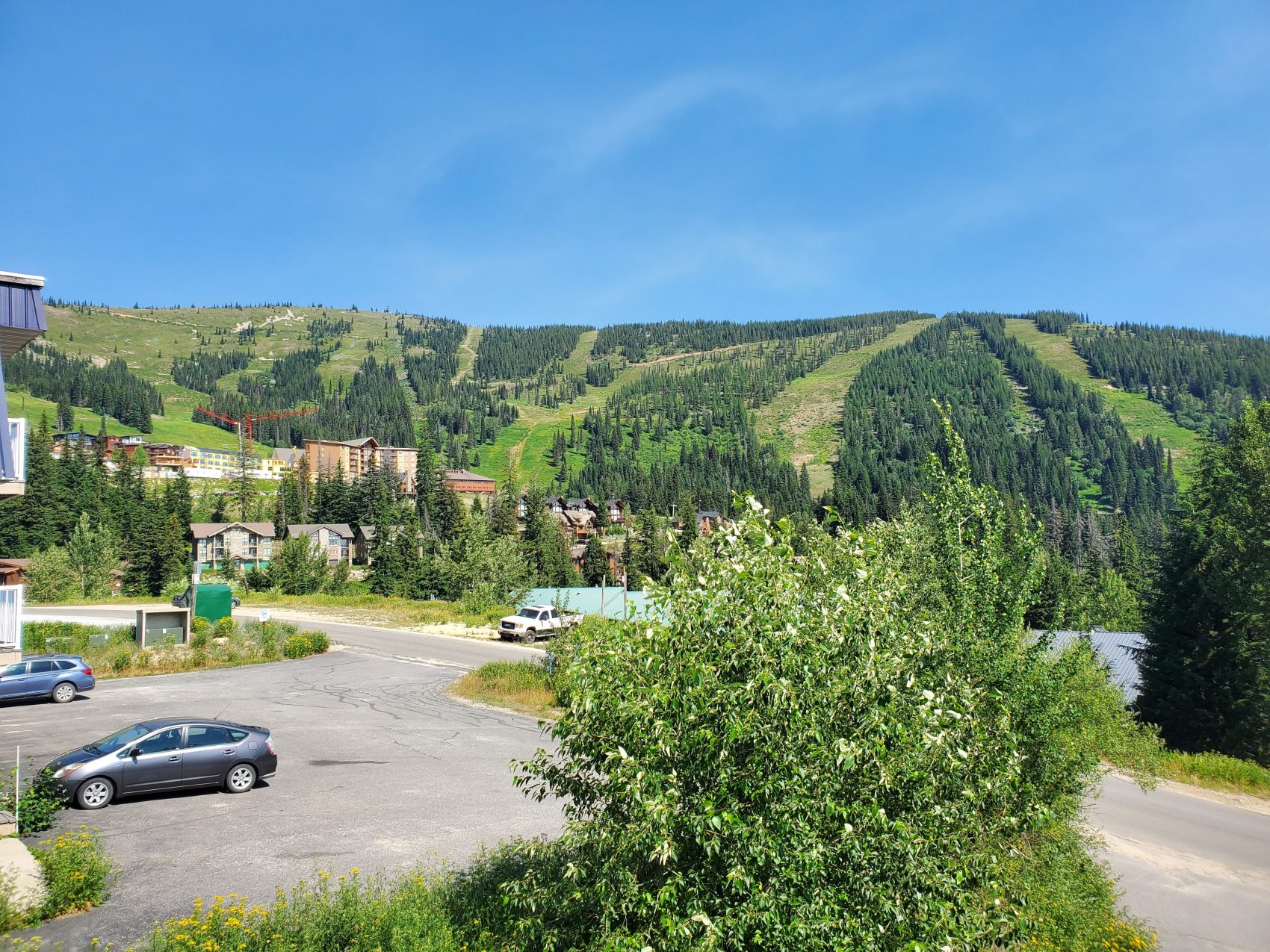 Ski hill, schweitzer, Idaho