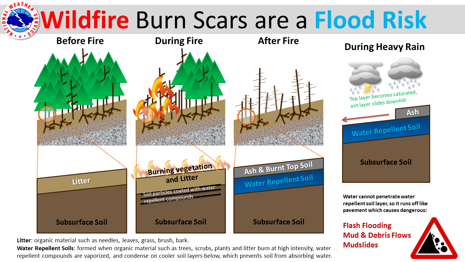 Brain Post Burn Scars How Wildfires Can Cause Dangerous Flash