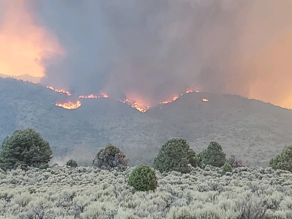 Tamarack Fire, california,