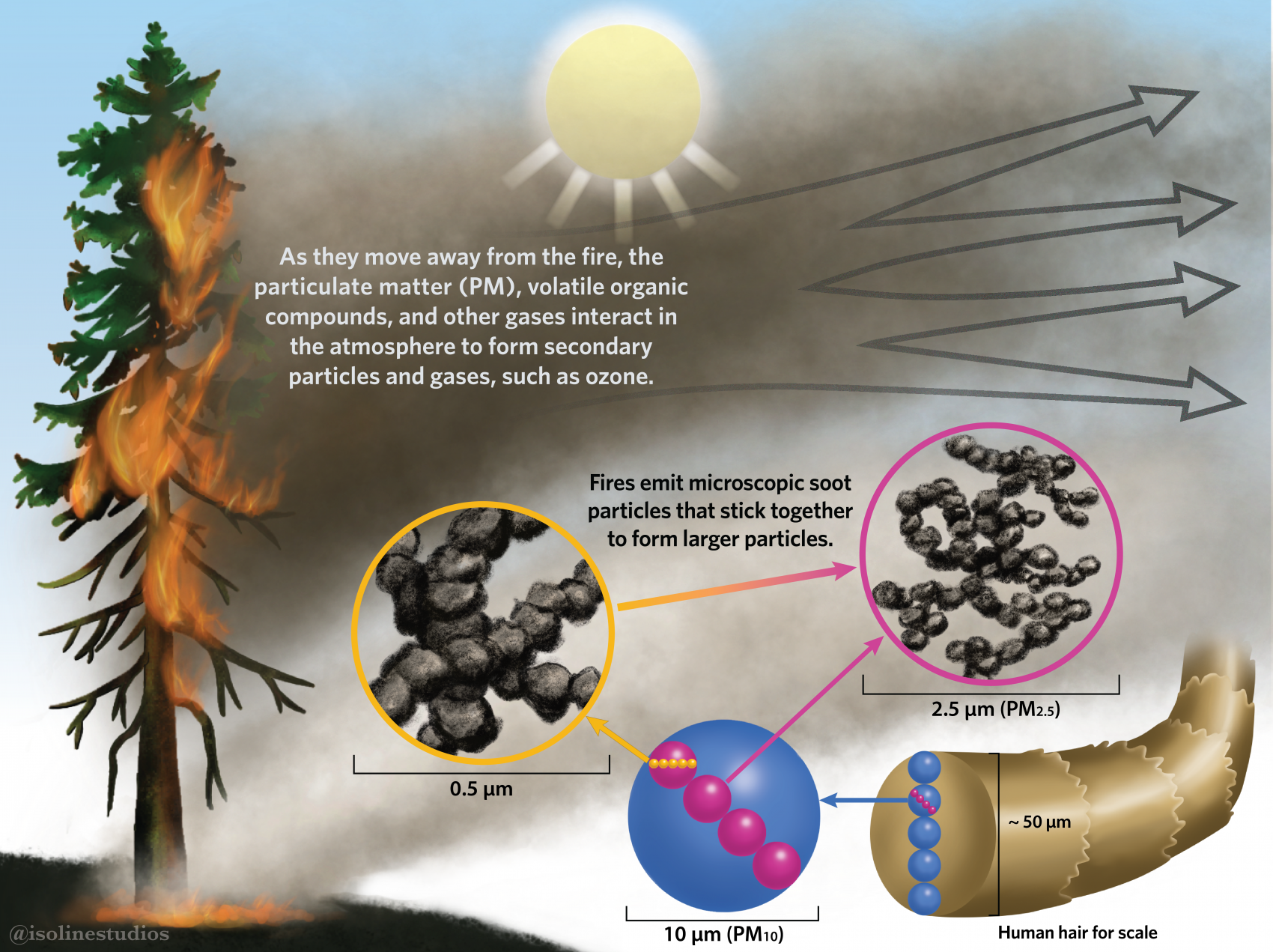 wildfire smoke diagram