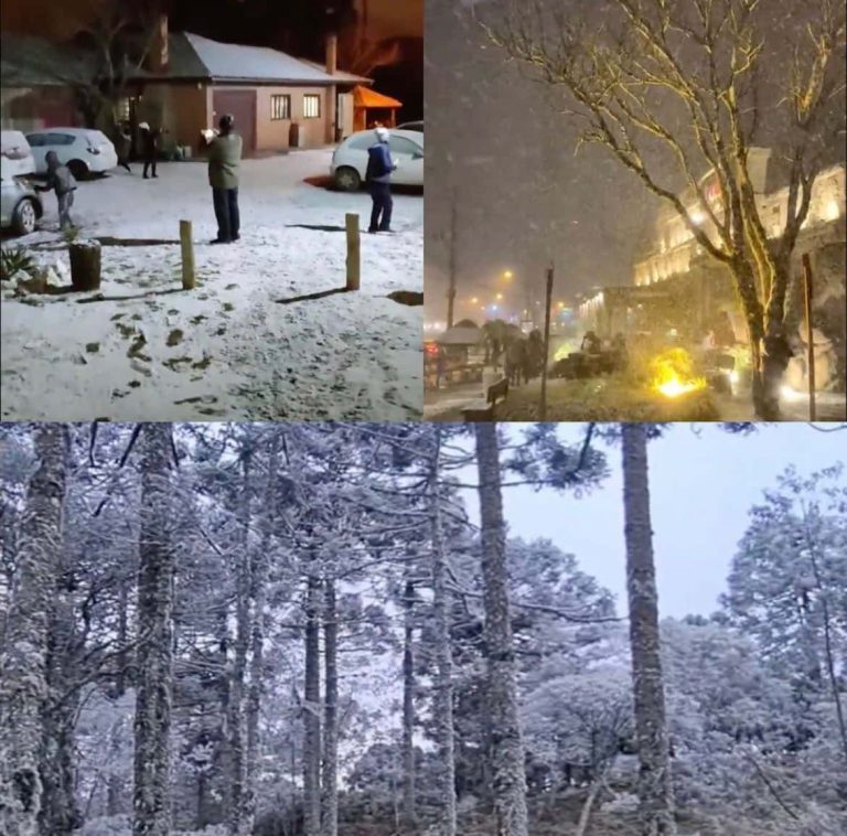 PHOTOS: Many Seeing Snow For The First Time As It Dumps On Southern ...