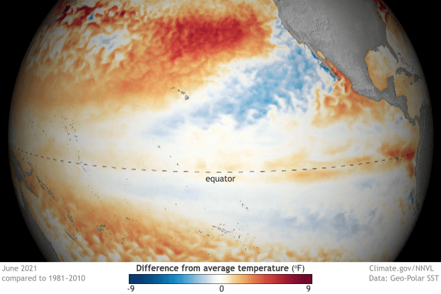 Ocean-Monthly-Difference-from-average-Sea-Surface-Temperature-Pacific-2021-06-00-small-pichi.png