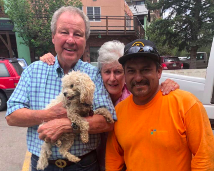 dog, cockapoo, reunited, 