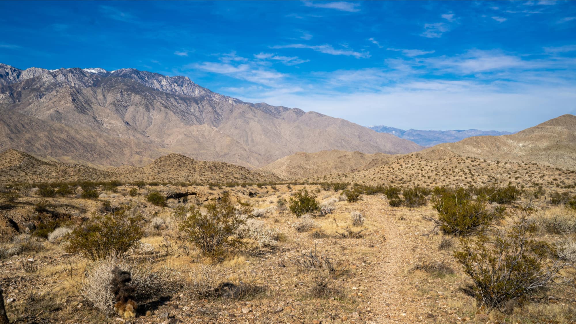 Palm Springs, california, rescue, sunburned, 