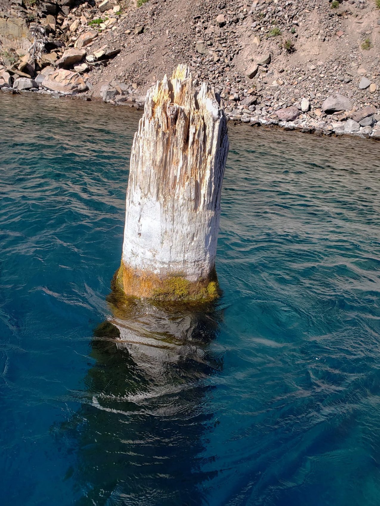 crater lake, Oregon, old man of the lake,