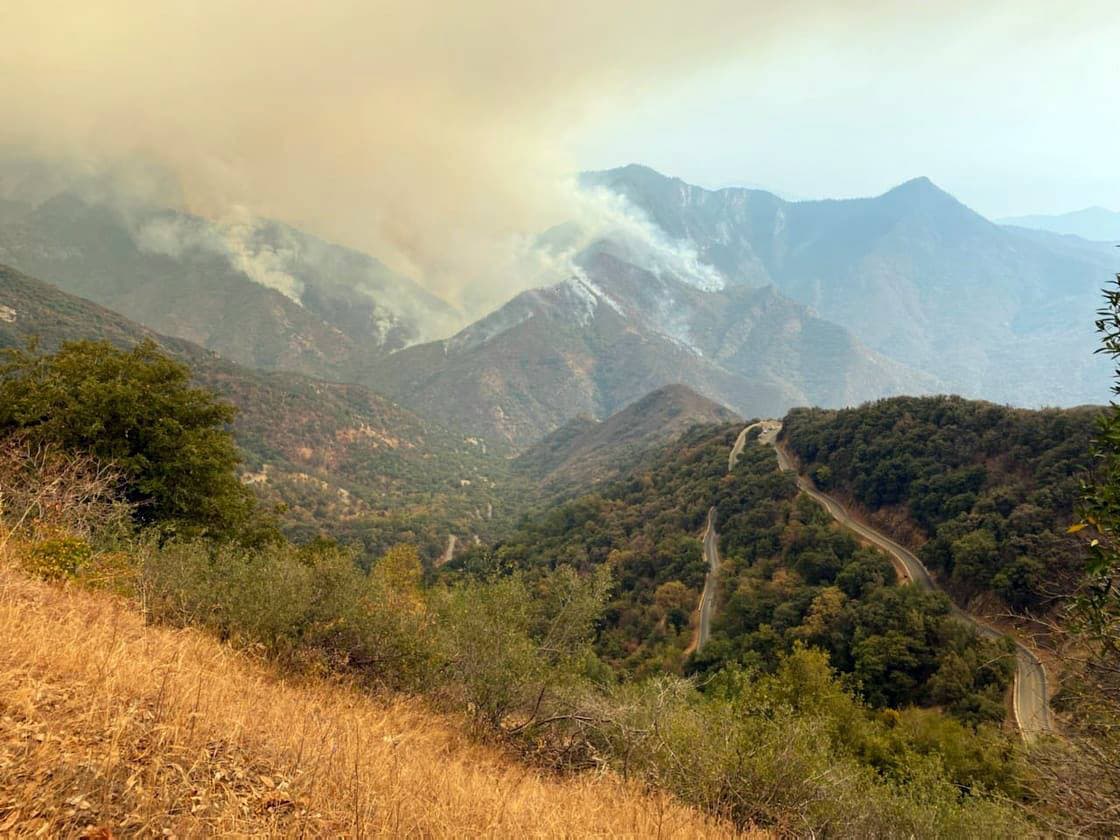 sequoia national park, wildfire, 