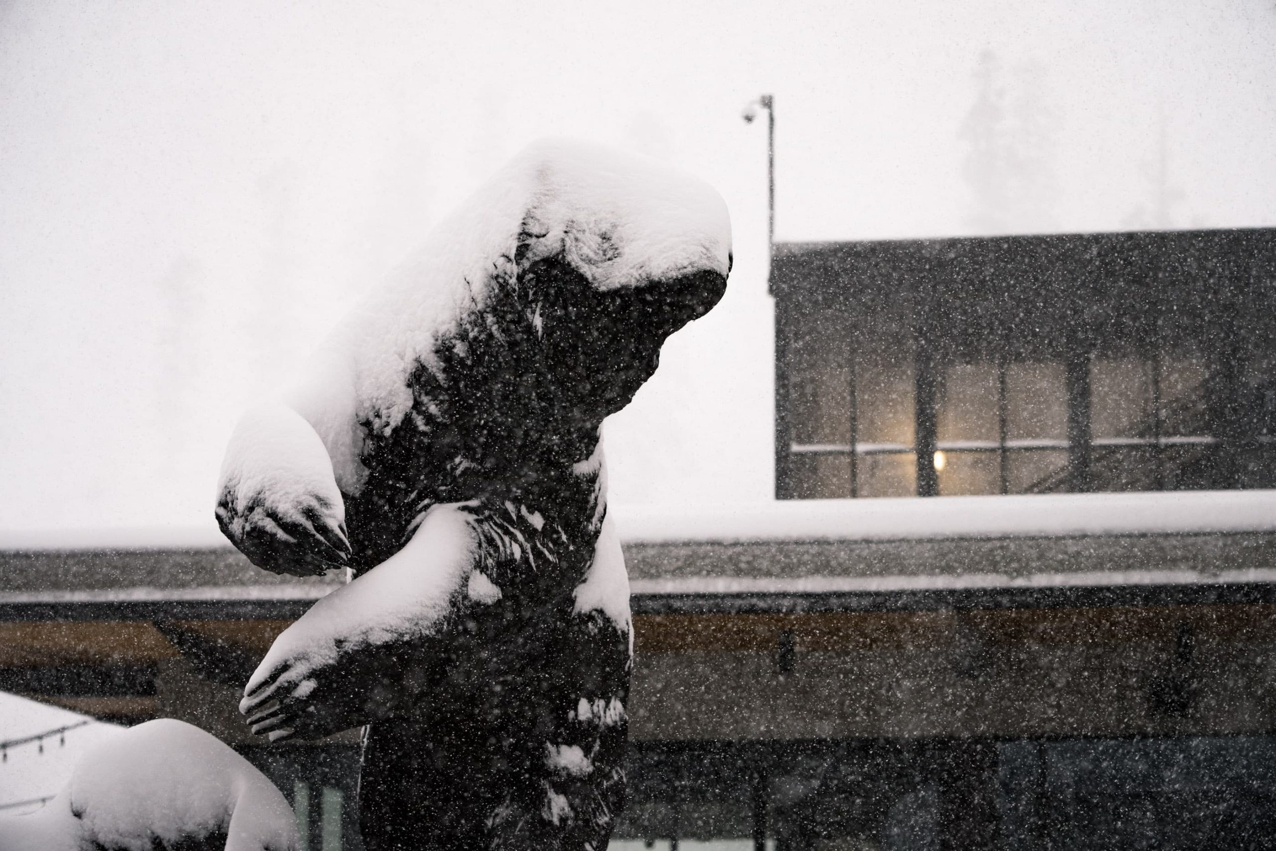 mammoth mountain, california, snow