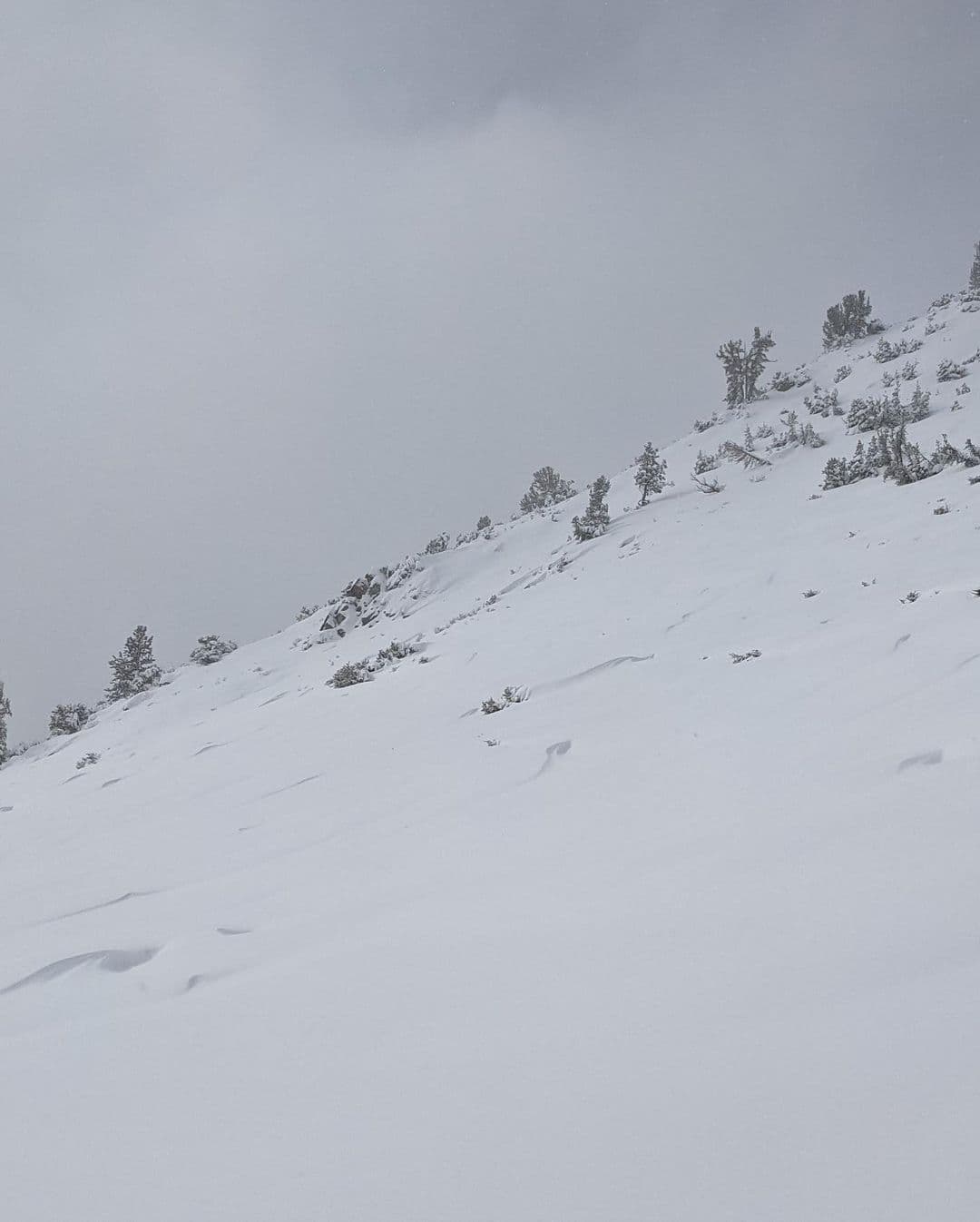 avalanche, California, 