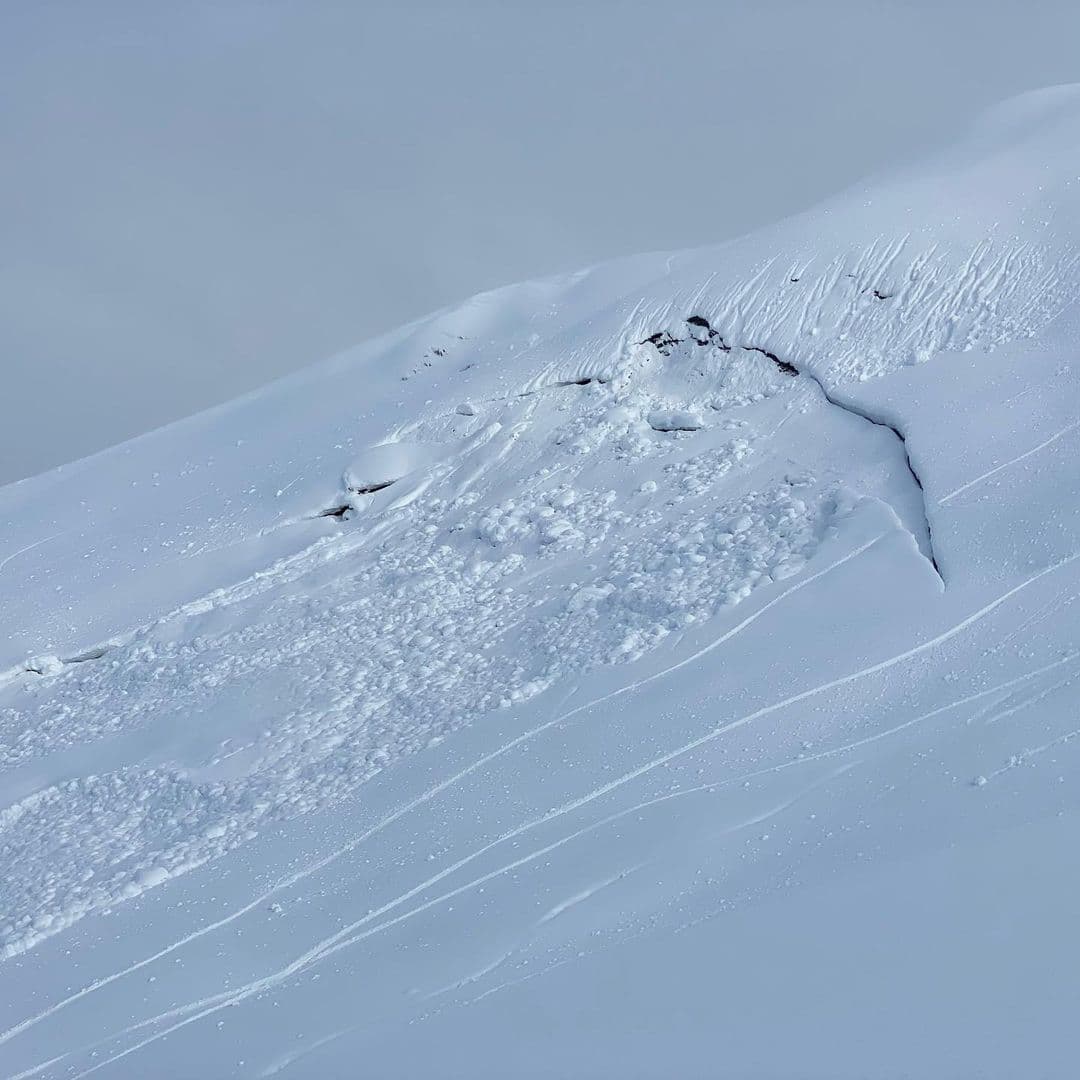 chugach avalanche