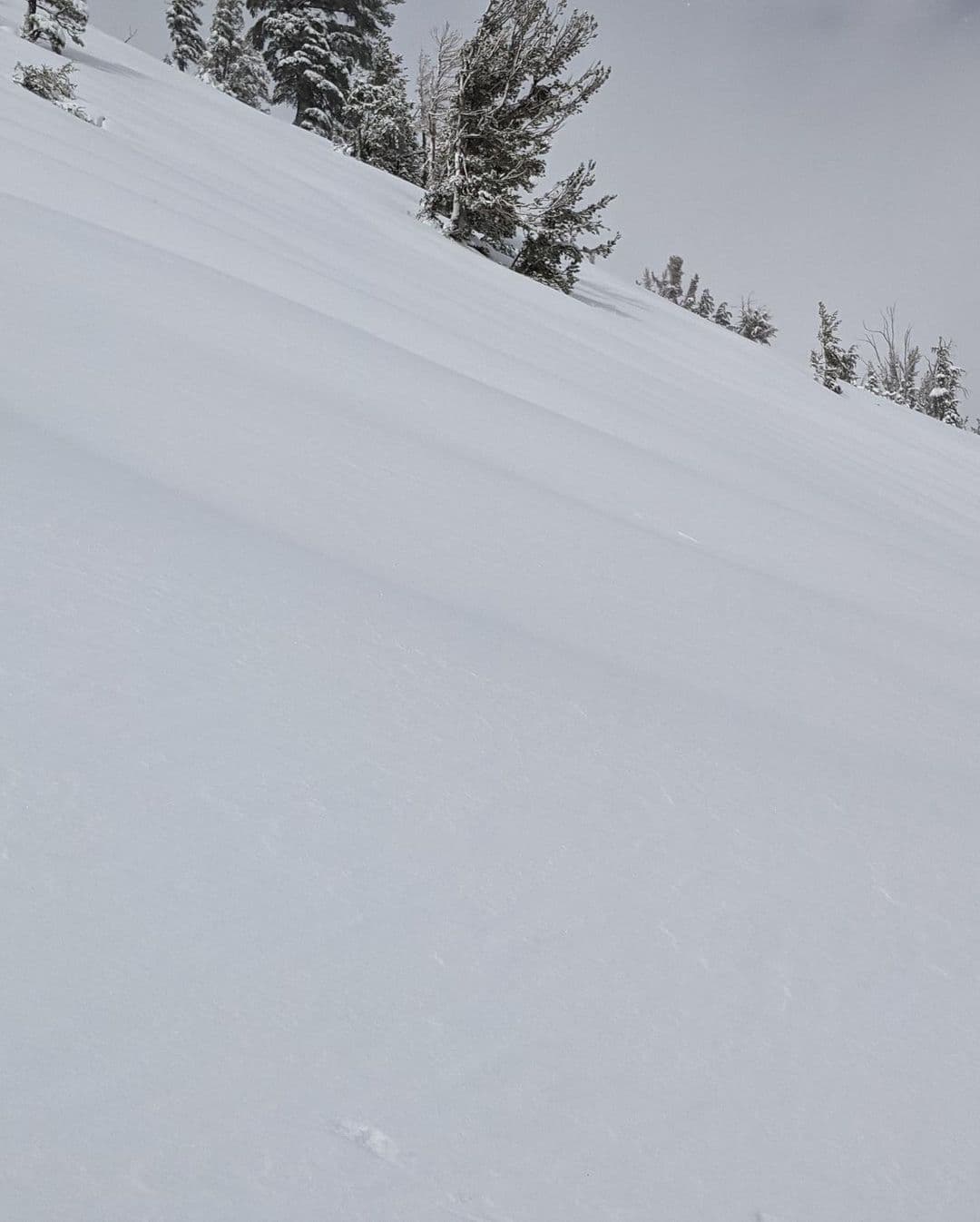 avalanche, California, 