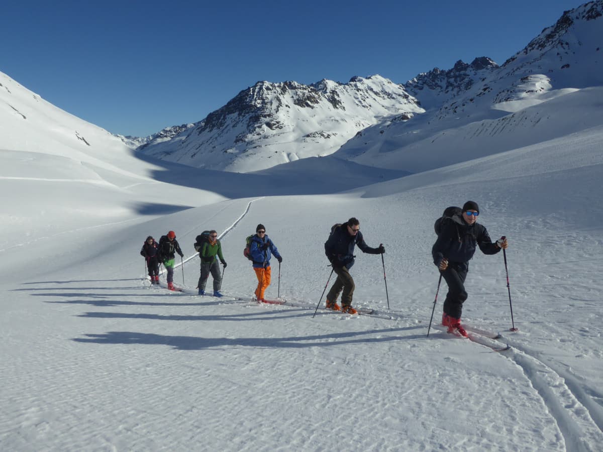 silvretta alps, 