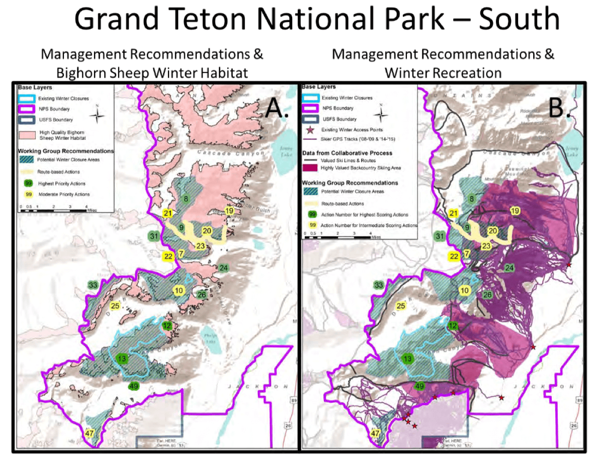 tetons, bighorn sheep, teton, 