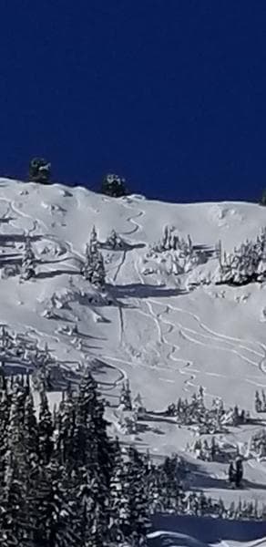 skier-triggered avalanche, little cottonwood canyon, utah, Albion basin