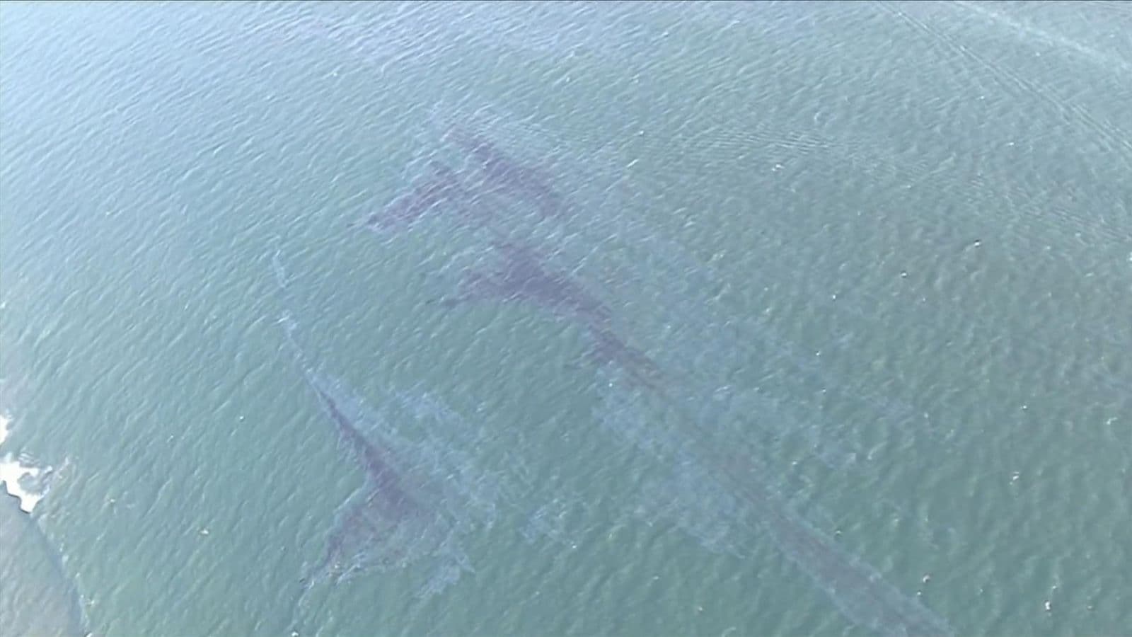 oil spill, Pacific Ocean, california, 