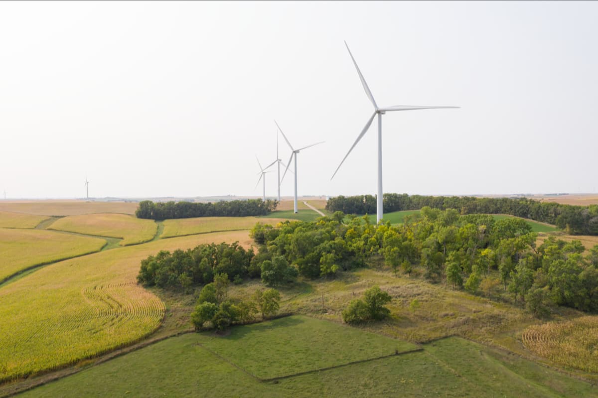 plum creek wind project, climate change, 