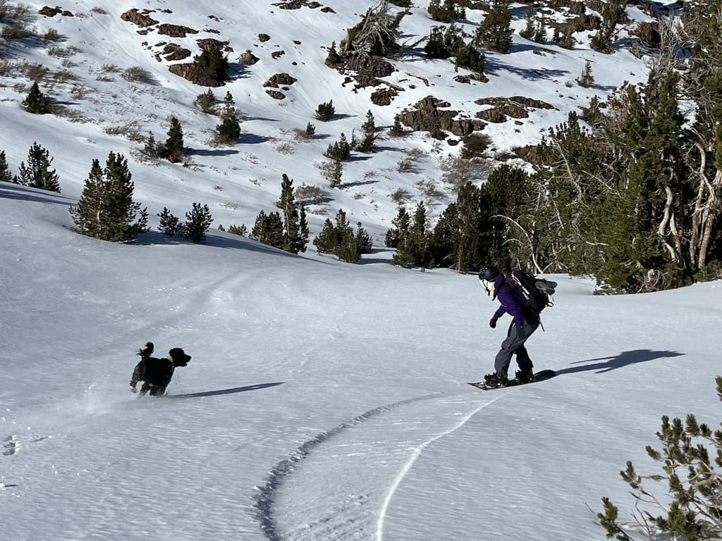 south Lake Tahoe, 