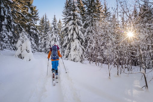 ski track back country skiing